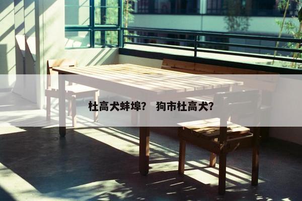杜高犬蚌埠？ 狗市杜高犬？