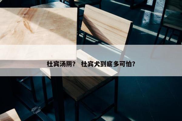 杜宾汤阴？ 杜宾犬到底多可怕？