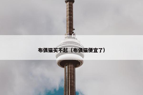 布偶猫买不起（布偶猫便宜了）