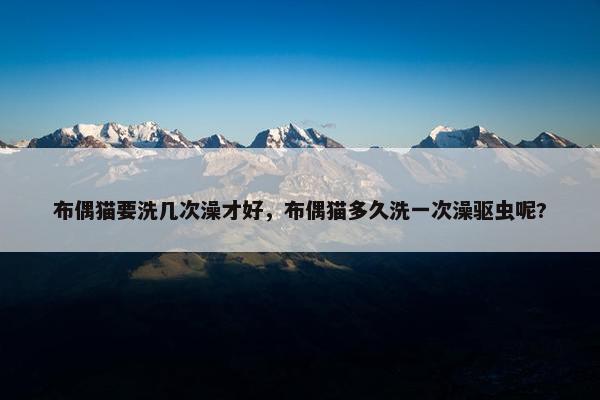 布偶猫要洗几次澡才好，布偶猫多久洗一次澡驱虫呢?