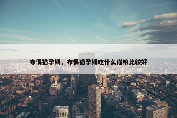 布偶猫孕期，布偶猫孕期吃什么猫粮比较好