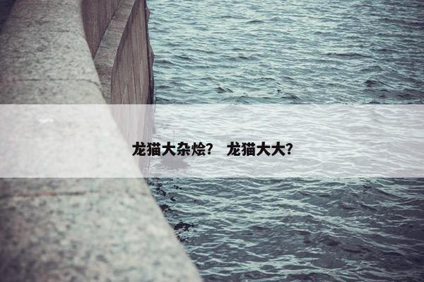 龙猫大杂烩？ 龙猫大大？