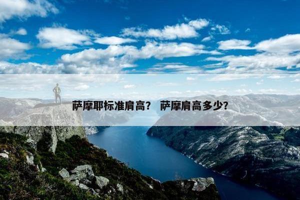 萨摩耶标准肩高？ 萨摩肩高多少？
