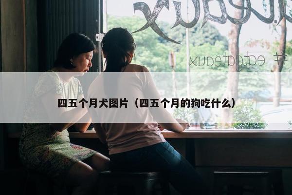 四五个月犬图片（四五个月的狗吃什么）