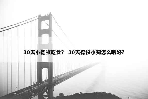 30天小德牧吃食？ 30天德牧小狗怎么喂好？