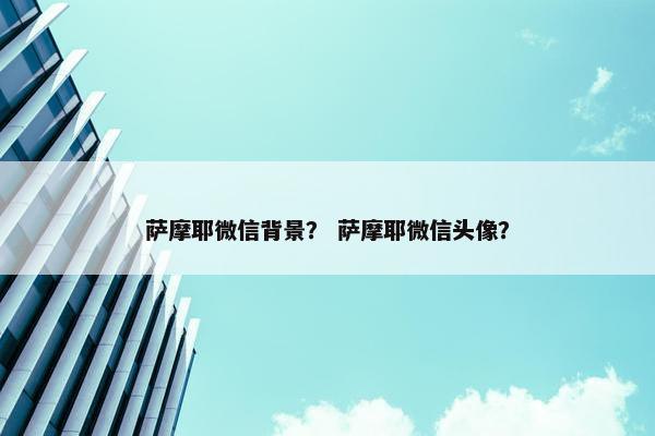 萨摩耶微信背景？ 萨摩耶微信头像？