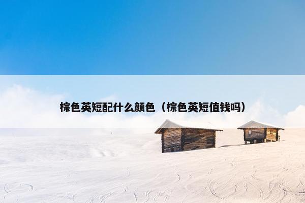 棕色英短配什么颜色(棕色英短值钱吗)