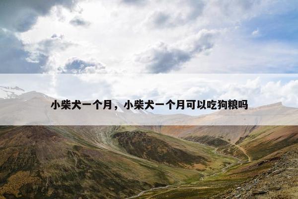小柴犬一个月，小柴犬一个月可以吃狗粮吗