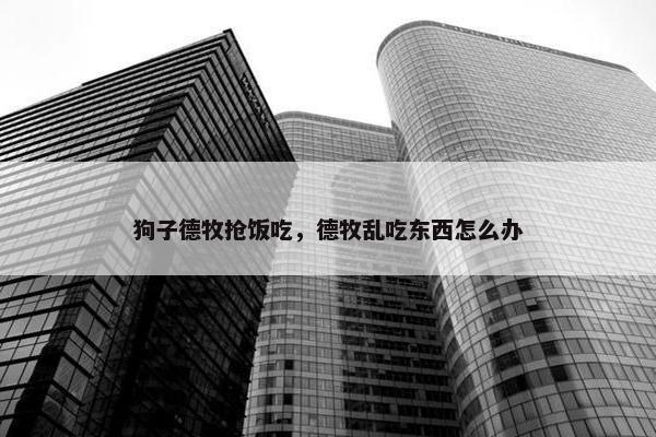 狗子德牧抢饭吃，德牧乱吃东西怎么办
