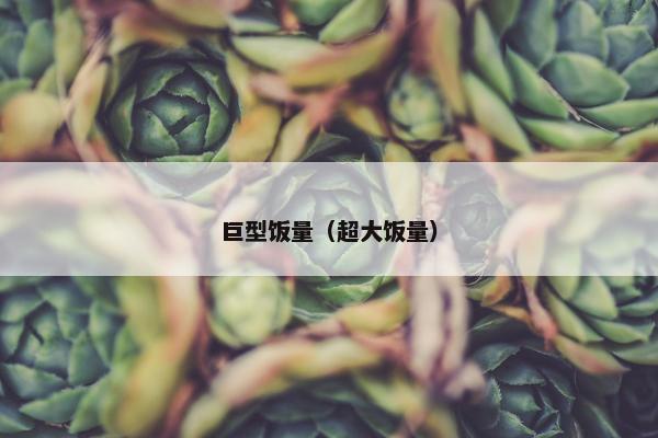 巨型饭量(超大饭量)