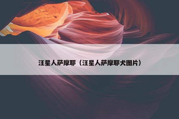 汪星人