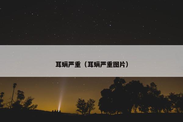 耳螨严重（耳螨严重图片）