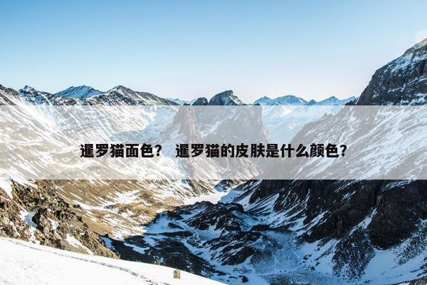暹罗猫面色？ 暹罗猫的皮肤是什么颜色？
