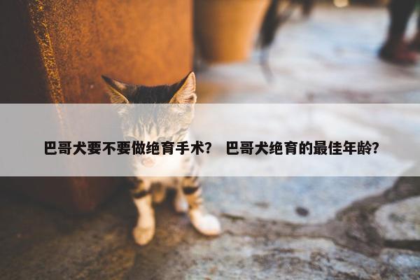 巴哥犬要不要做绝育手术？ 巴哥犬绝育的最佳年龄？