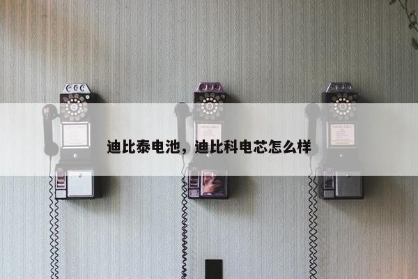 迪比泰电池，迪比科电芯怎么样