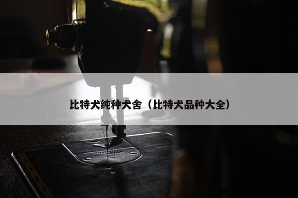比特犬纯种犬舍（比特犬品种大全）