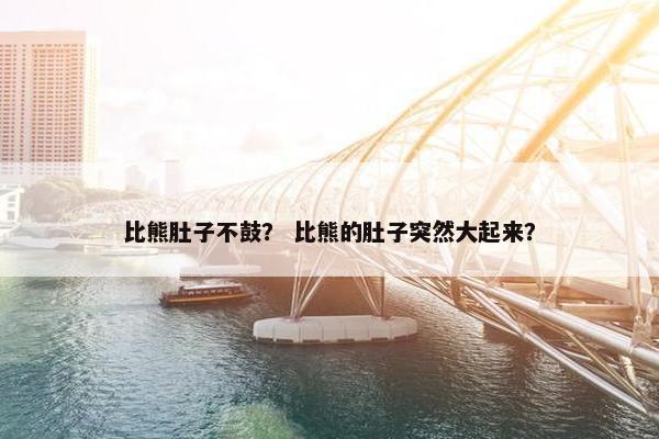 比熊肚子不鼓？ 比熊的肚子突然大起来？
