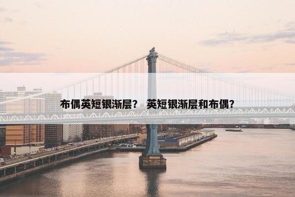 布偶英短银渐层？ 英短银渐层和布偶？