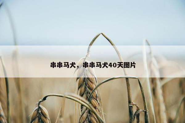 如果 第3页