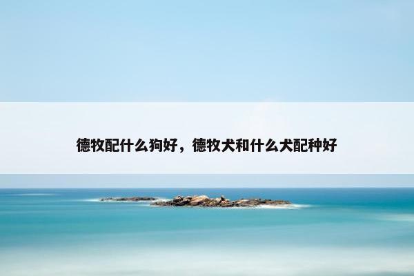 德牧配什么狗好，德牧犬和什么犬配种好