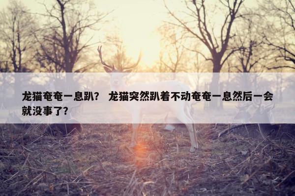 奄奄一息