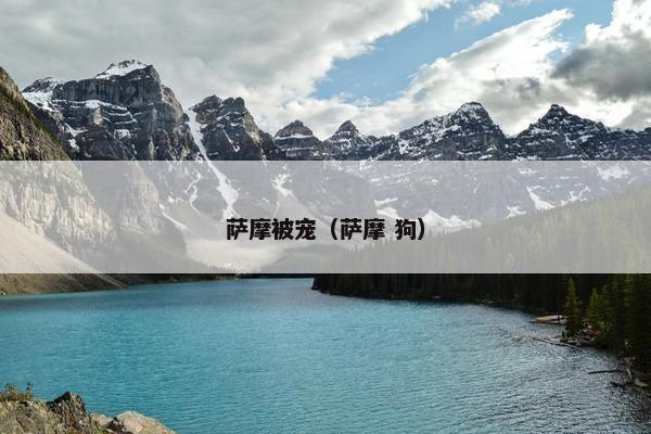 萨摩被宠（萨摩 狗）