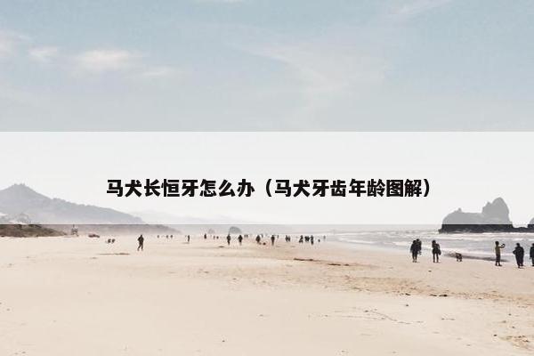 马犬长恒牙怎么办（马犬牙齿年龄图解）