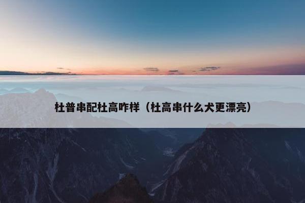 杜普串配杜高咋样(杜高串什么犬更漂亮)