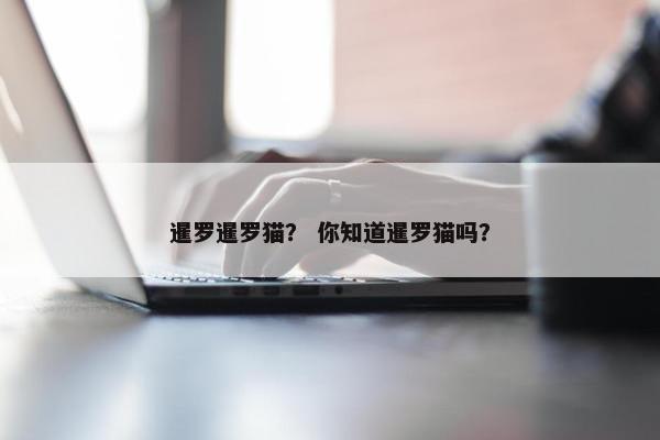 暹罗暹罗猫？ 你知道暹罗猫吗？