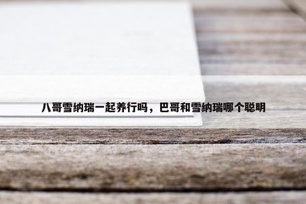 八哥雪纳瑞一起养行吗，巴哥和雪纳瑞哪个聪明