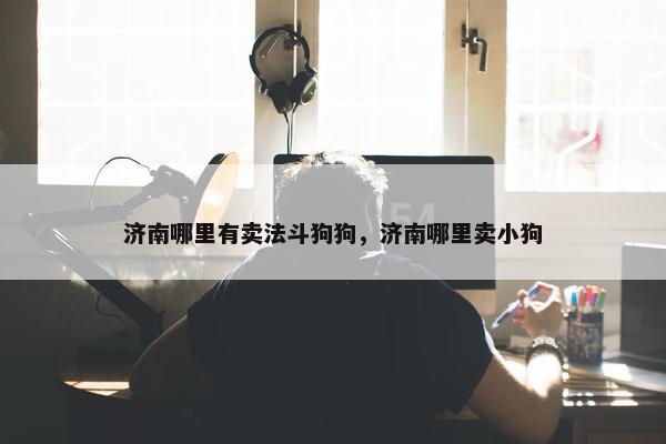 济南哪里有卖法斗狗狗，济南哪里卖小狗