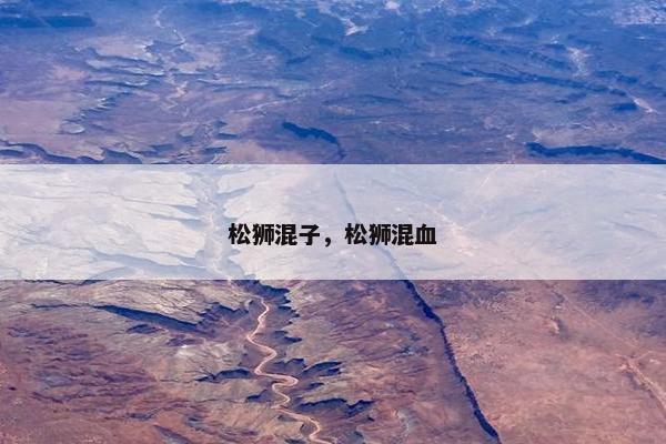 松狮混子，松狮混血