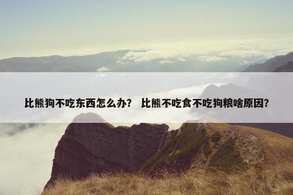 比熊狗不吃东西怎么办？ 比熊不吃食不吃狗粮啥原因？