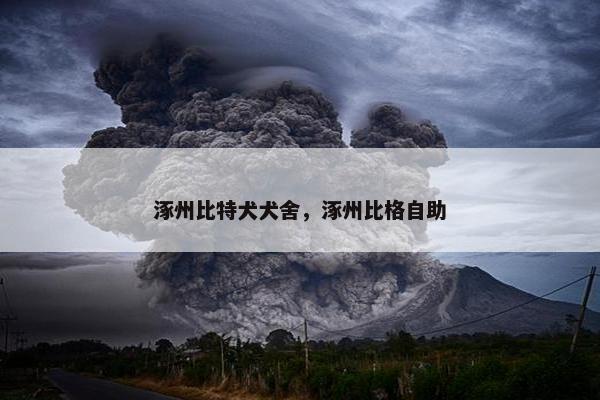 涿州比特犬犬舍，涿州比格自助