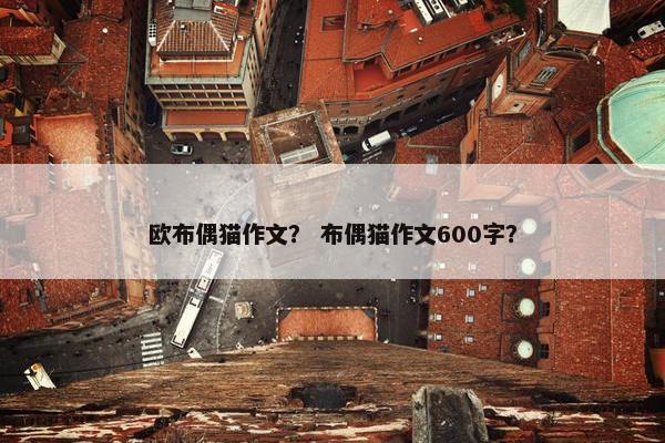 欧布偶猫作文？ 布偶猫作文600字？