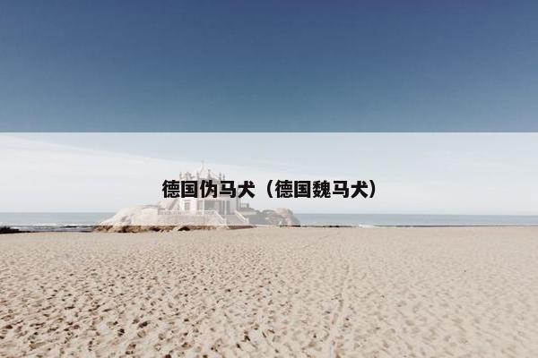 德国伪马犬（德国魏马犬）