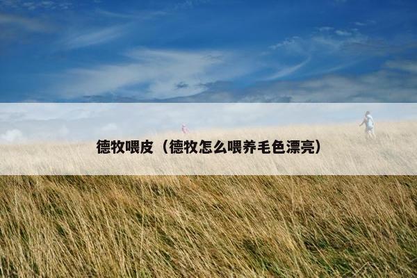 德牧喂皮（德牧怎么喂养毛色漂亮）