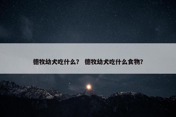 德牧 第20页