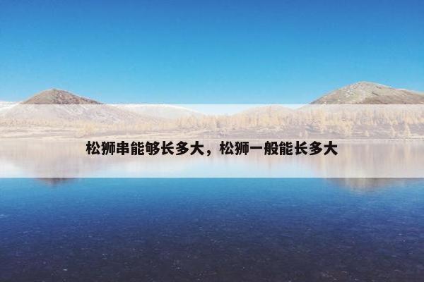 松狮串能够长多大，松狮一般能长多大