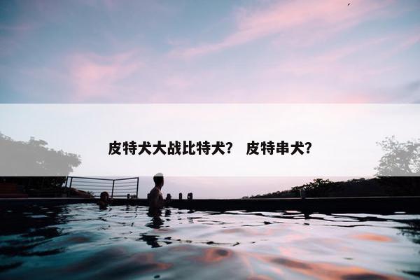 皮特犬大战比特犬？ 皮特串犬？