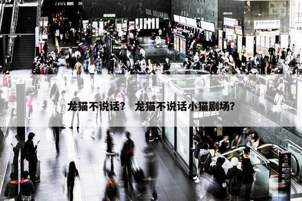龙猫不说话？ 龙猫不说话小猫剧场？