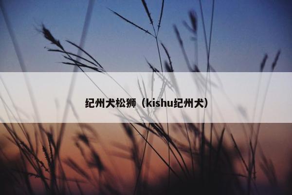 纪州犬