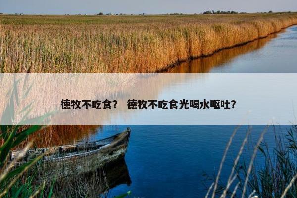 德牧不吃食？ 德牧不吃食光喝水呕吐？