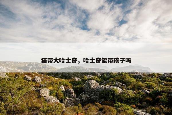 猫带大哈士奇，哈士奇能带孩子吗
