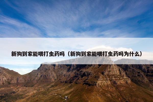 新狗到家能喂打虫药吗（新狗到家能喂打虫药吗为什么）