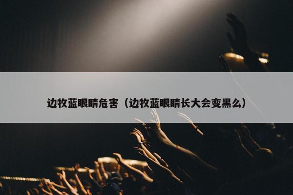 边牧蓝眼睛危害（边牧蓝眼睛长大会变黑么）