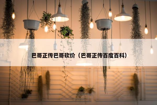 巴哥正传巴哥砍价（巴哥正传百度百科）
