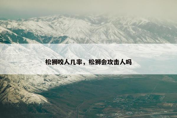 松狮咬人几率，松狮会攻击人吗