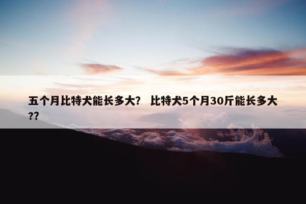五个月比特犬能长多大？ 比特犬5个月30斤能长多大?？