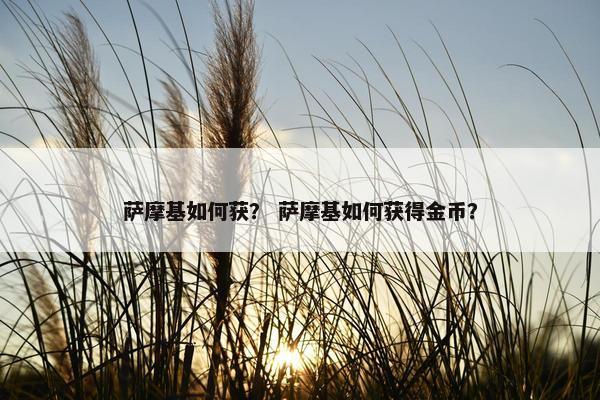 萨摩 第31页
